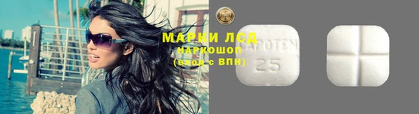 прущие грибы Алексин