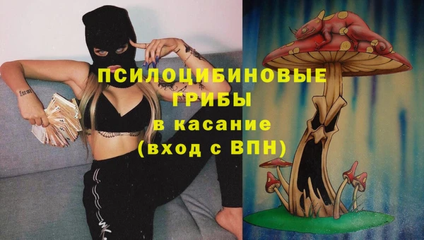 сатива Абинск
