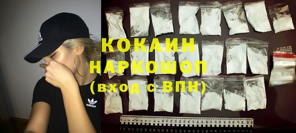 крисы Слюдянка