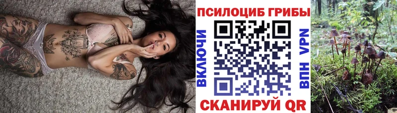 Галлюциногенные грибы Psilocybe  гидра как войти  Югорск 